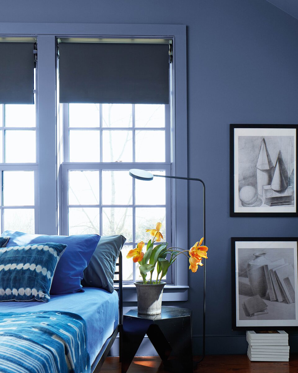 Blue Nova 825